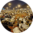 Muzdalifah Overnight